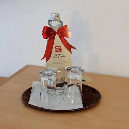 Hotel Saaletalstuben-2