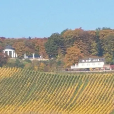 das Rebenhaus-3