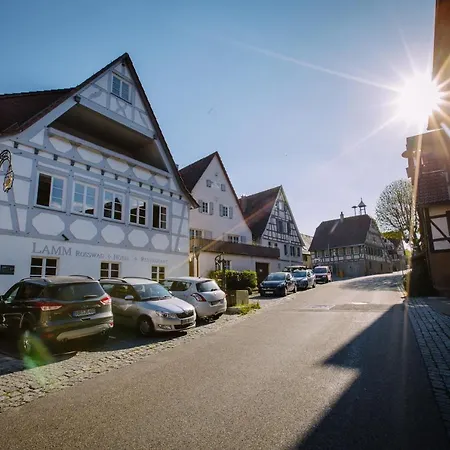 Hotel Restaurant Lamm Rosswag-3