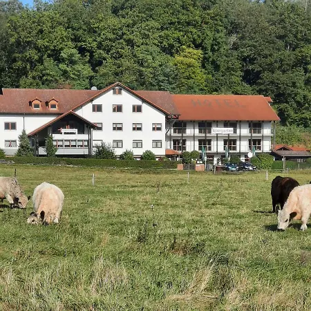 Landgasthof Rotlipp Gästezimmer-2