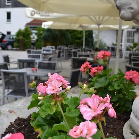 Hotel am Pfahl-3