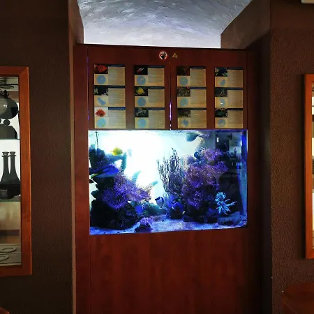Hotel Apollon Rust-2