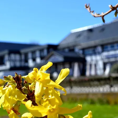 Wellness-Gasthof-Cafe Nuhnetal-3