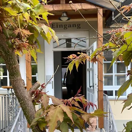 Landgasthof Rebstock Weil am Rhein / Basel-3