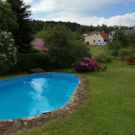Waldblick-3
