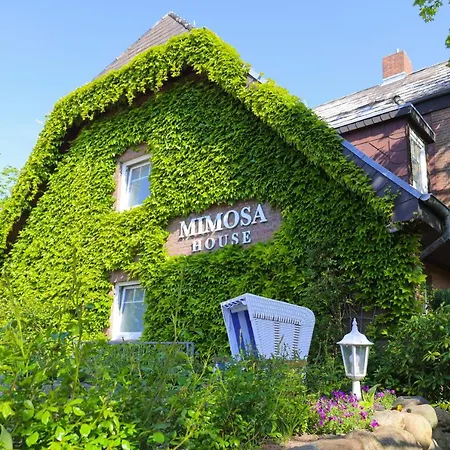 Mimosa House-3