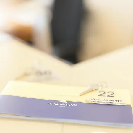 Hotel Ambiente-3