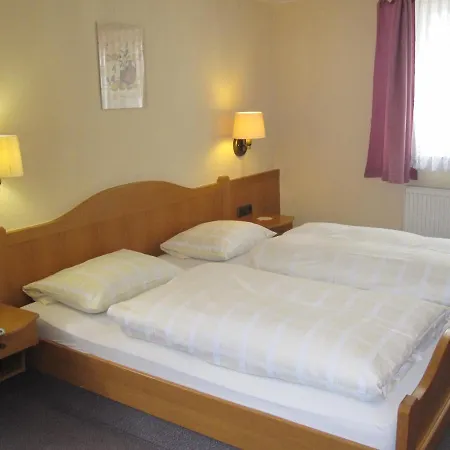 Hotel Grüner Baum-2