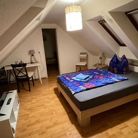 Großzügige Maisonette Wohnung über den Dächern Leipzigs-3