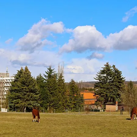 Carea Harz Hotel Allrode-3