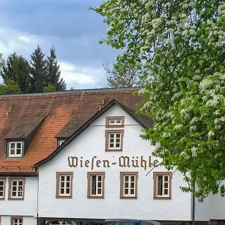 Hotel Brauhaus Wiesenmühle-2