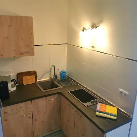 Ferienwohnung Oberlungwitz-3
