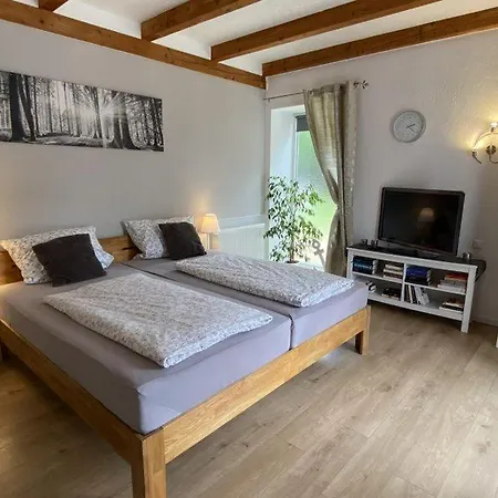 Großes Doppelzimmer mit eigenem Bad und Kühlschrank, frisch saniert-2