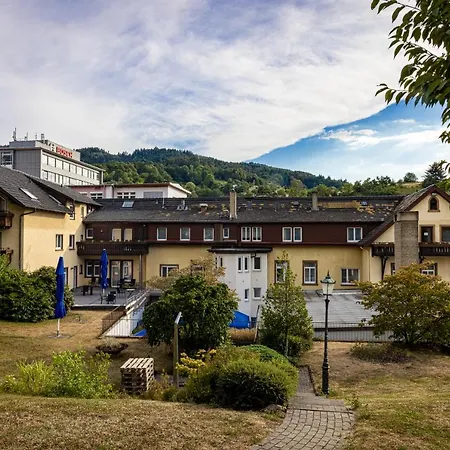 Hotel Grüner Baum-2