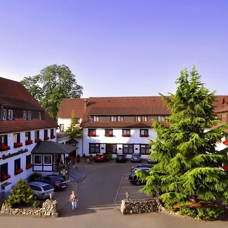 Hotel Gerbe-3