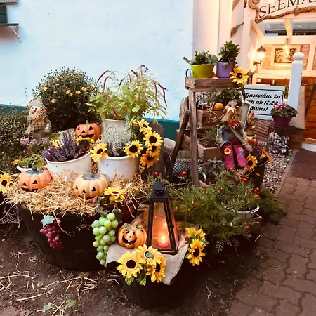 Pension Am Strand-3