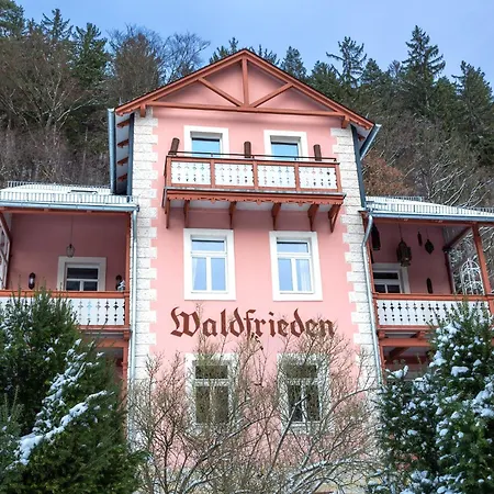 Bio-Hotel Villa Waldfrieden-3