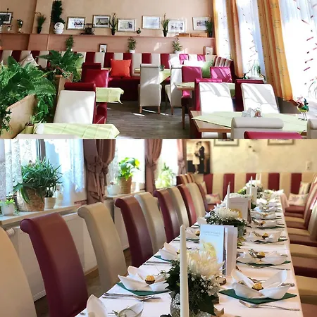 Traditionsgasthaus Goldener Löwe Riesa-3