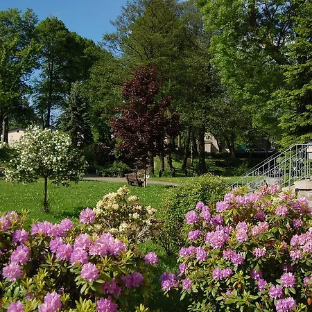 Landgasthof "Am Park"-3