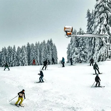 Am Golfplatz 800 Meter bis Möppis Hütte-2