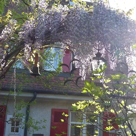 Pension Zur Rose-2