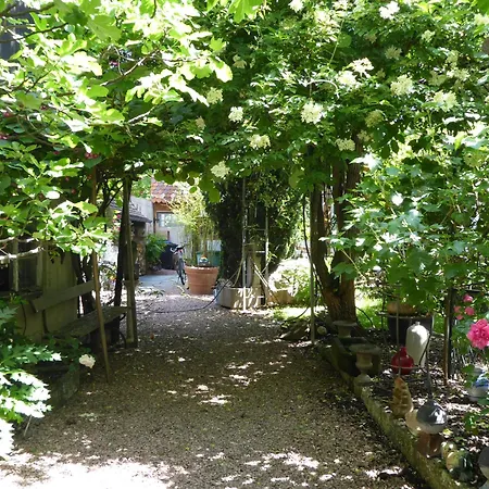 Pension Zur Rose-3