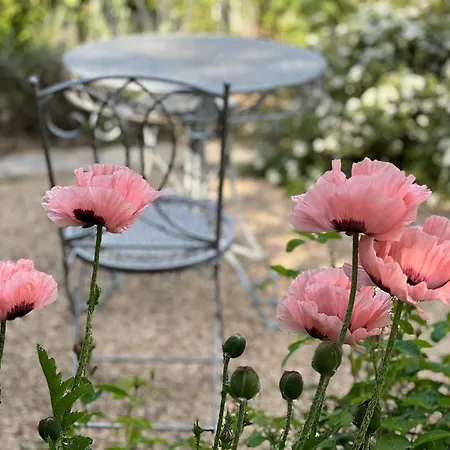 B&B Rosenliebe-3