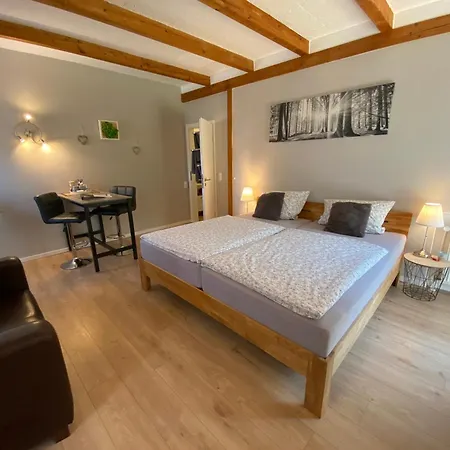 Großes Doppelzimmer mit eigenem Bad und Kühlschrank, frisch saniert-3