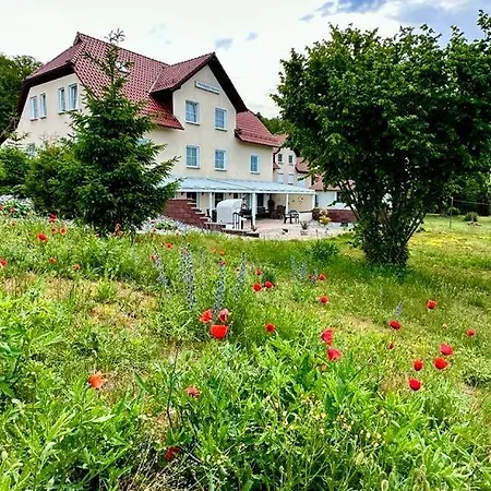 Pension Hanni-3