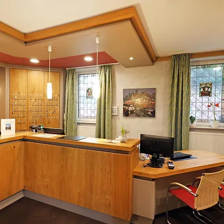 Hotel Goldener Karpfen-2