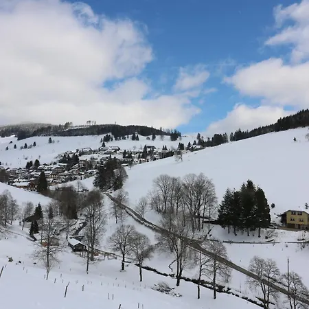 Ferien im Tannenhof, Wohnung 1, Todtnauberg, Feldberg-2
