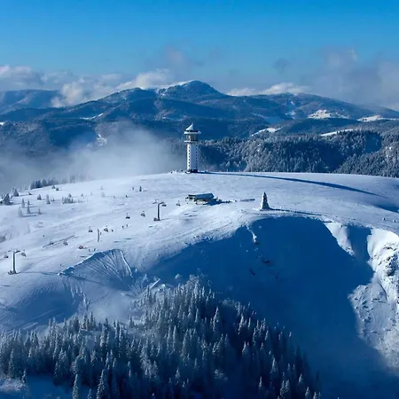 Ferienwohnung Landleben im Dorfkrug Altglashütten- Feldberg-2