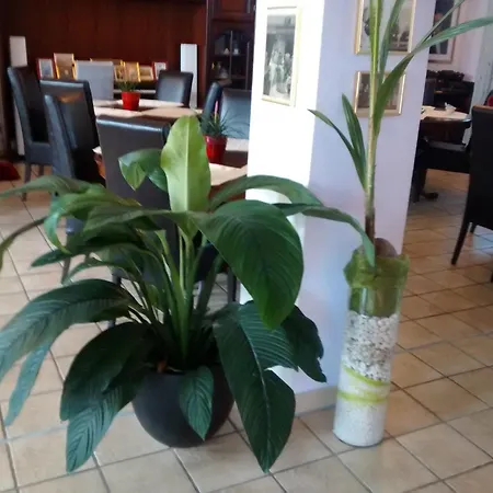 Hotel Attache-2