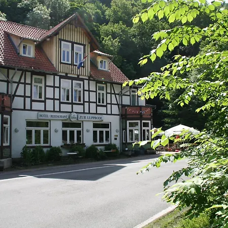 Hotel Zur Luppbode-2