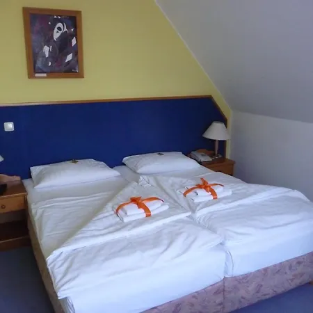Hotel Mecklenburger Muehle Garni-3