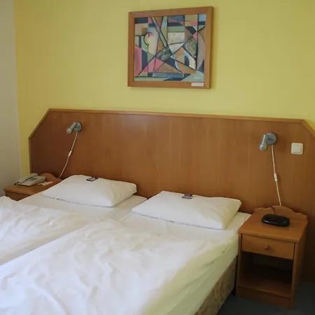 Hotel Mecklenburger Muehle Garni-2