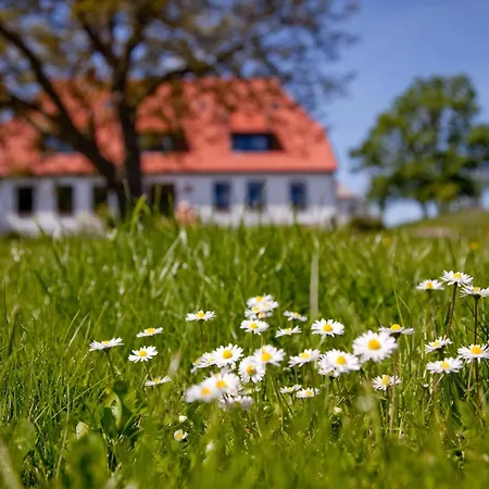 Gutshaus Ketelshagen-3