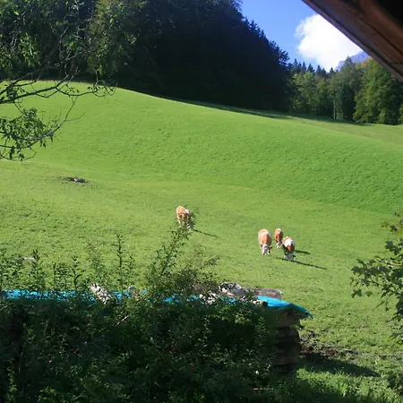 Alpenhotel Beslhof-2