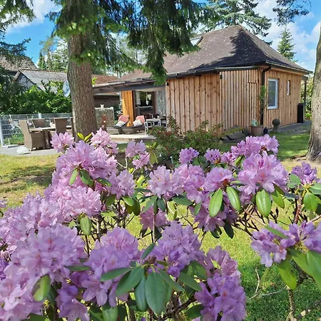 Ferienhaus Max mit Sauna-2