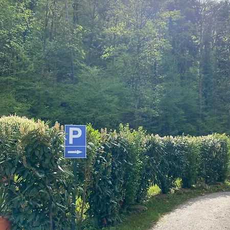 Hotel Scheid-3