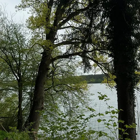 Waldwerk Wurlgrund Lychen-3