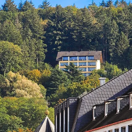 Vintage Hotel Petrisberg-2