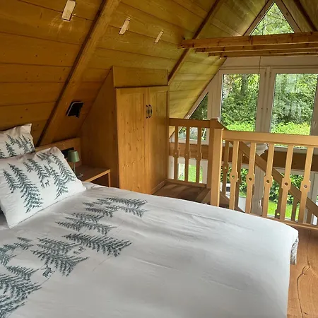 Hollhouse - Bed & Breakfast-3