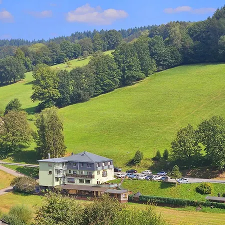 Hotel Grüner Baum mit Restaurant&Wellness-3