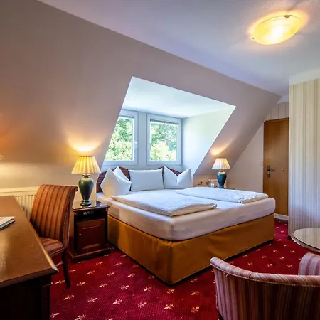 Flair Hotel Villa Ilske-3