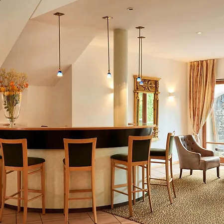Hotel Restaurant Adler-2
