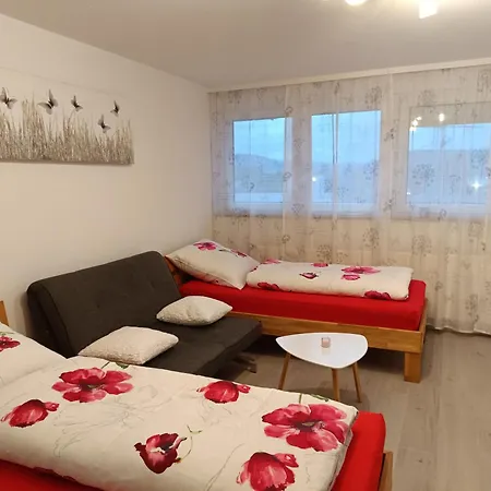 Apartment Lahr 50-2