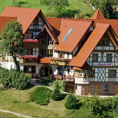 Bäuerlehof-2