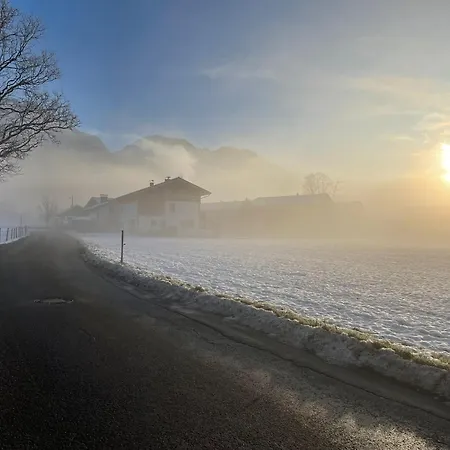SeelenbaumlerIn-2