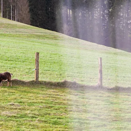 Forellenhof Wald- und Wiesenquartier-2